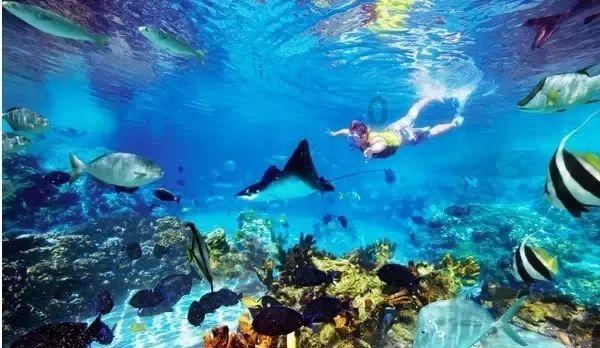 一顿浪漫晚餐