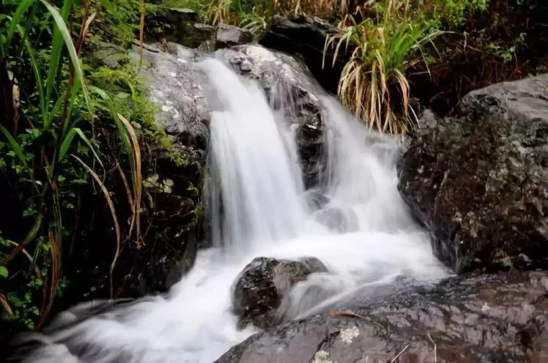 莫雷岛逃脱